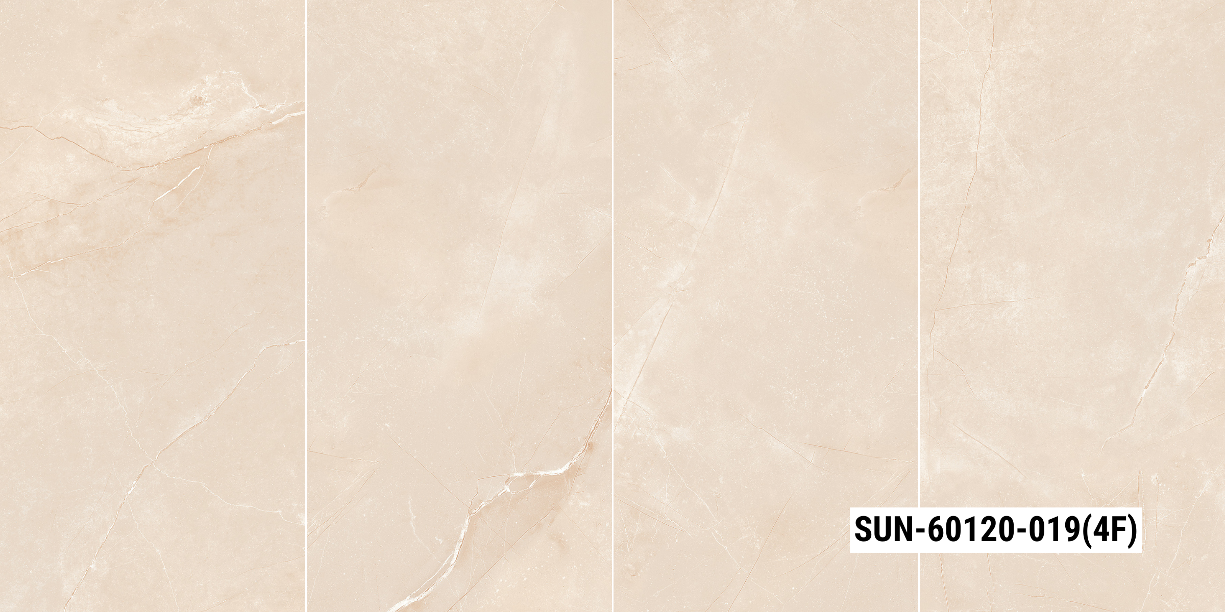 SUN-60120-019
